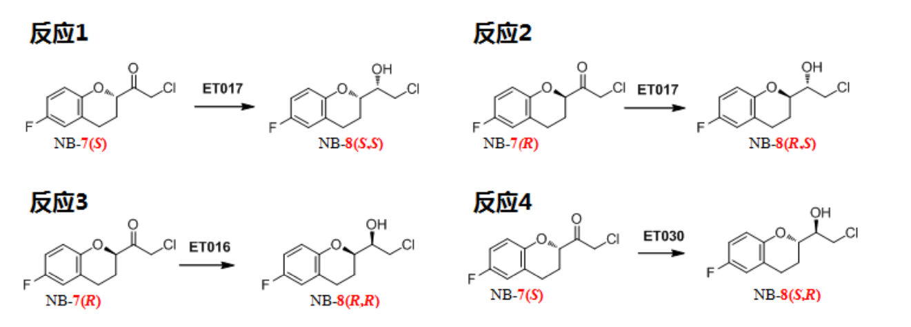 原儿茶酸图片.png